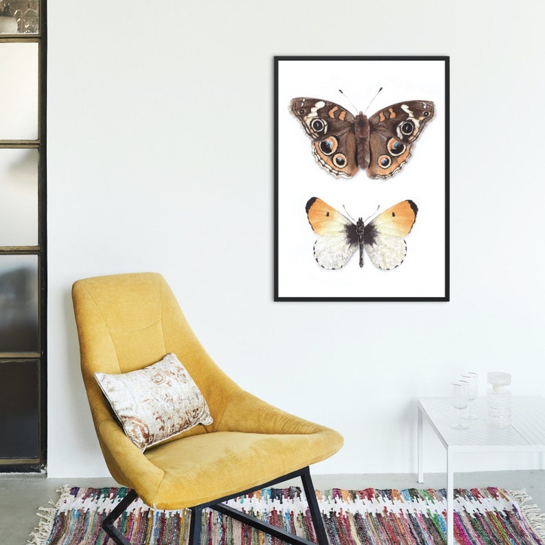 Puede incluir: Una impresi&oacute;n enmarcada con dos ilustraciones de acuarela de mariposas. La mariposa superior es marr&oacute;n con acentos naranjas y la mariposa inferior es blanca con acentos naranjas.