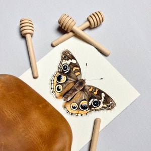 Aquarell Buckeye Schmetterling Art Print. Erdiges Schmetterlingsbild. Insekten Kunstwerk. Boho Kinderzimmer Dekor. Wissenschaft Klassenzimmer Kunst. Boho Dekor.