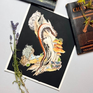 K&ouml;nnte beinhalten: Eine Schwarzwei&szlig;illustration eines Salamanders auf einem Ast mit Pilzen. Der Salamander ist orange und schwarz mit einem langen Schwanz. Die Pilze sind braun und wei&szlig;.
