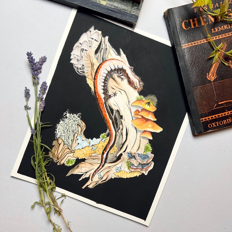 K&ouml;nnte beinhalten: Eine Schwarzwei&szlig;illustration eines Salamanders auf einem Ast mit Pilzen. Der Salamander ist orange und schwarz mit einem langen Schwanz. Die Pilze sind braun und wei&szlig;.