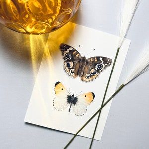 Puede incluir: Una pintura de acuarela de dos mariposas sobre un fondo blanco. La mariposa m&aacute;s grande es marr&oacute;n con marcas negras y tiene una envergadura de aproximadamente 7,5 cm. La mariposa m&aacute;s peque&ntilde;a es amarilla con marcas negras y tiene una envergadura de aproximadamente 5 cm.