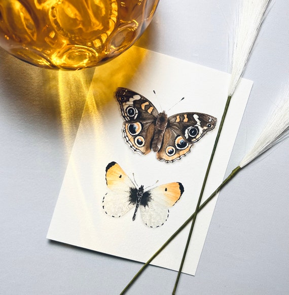 Watercolor Butterfly Art Print. Orange Butterfly Painting. Insect Artwork. Butterfly Wall Art. Classroom Decor. Boho Nursery Decor.
