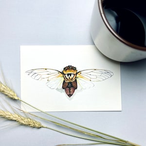 Watercolor Cicada Art Print. Insect Painting. Science Classroom Decor. Cicada Wall Art. Cottagecore. Bug Painting. Witchy Wall Art.