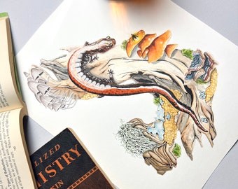 Watercolor Salamander Art Print. Natural Science illustration. Mushroom Painting. Science Classroom Decor. Firefly Drawing. Cottagecore Art.
