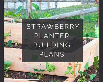 Easy Strawberry Planter Digital Building Plans