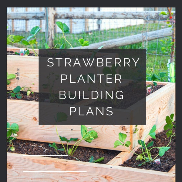 Easy Strawberry Planter Digital Building Plans