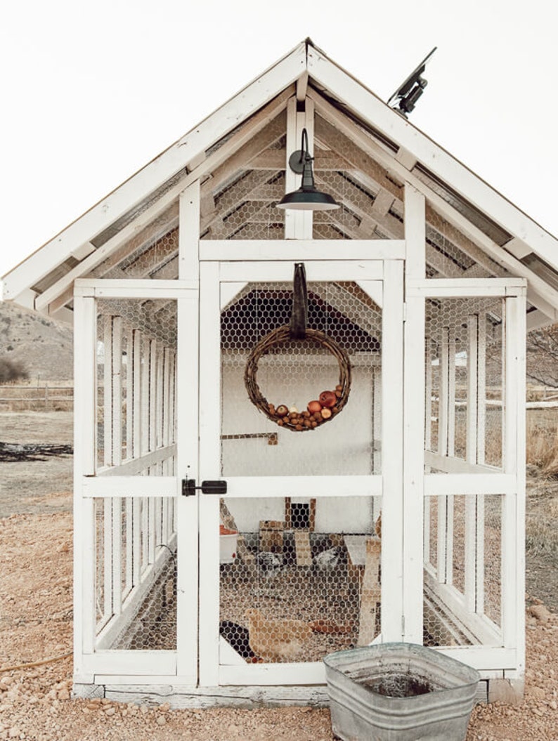 May include: A white wooden chicken coop with wire mesh panels and a gabled roof. A decorative wreath hangs inside the coop, and a metal container sits in front. A black light fixture is mounted above the coop.
