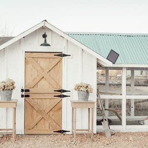 May include: A white wooden chicken coop with a light green corrugated metal roof and a light brown wooden door. Two small wooden tables each hold a metal bucket filled with dried flowers. A shovel and rake lean against the coop.