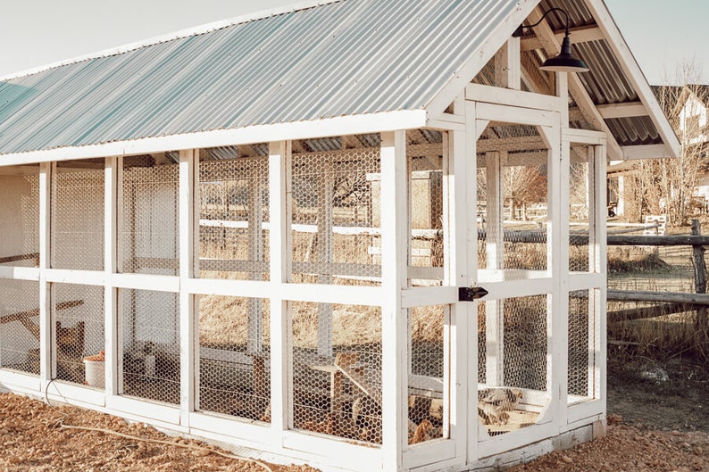 May include: A white wooden chicken coop with a corrugated metal roof. The coop has wire mesh panels and a black light fixture. Chickens are visible inside the coop. The coop is outdoors, with a fence and trees in the background.