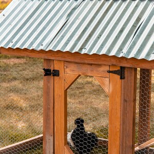 May include: A wooden chicken coop with a corrugated metal roof. The coop has a wire mesh enclosure and a wooden door with black hinges. A black and white chicken is visible inside the coop.