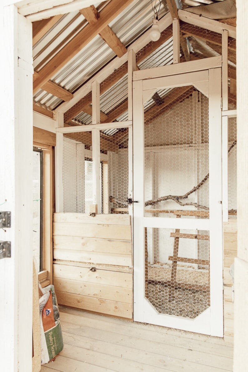 May include: A rustic chicken coop with a white-painted wooden frame, wire mesh, and a corrugated metal roof. The coop features a wooden door, a branch perch, and a small ladder. The interior is visible through the open door.