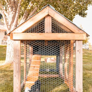 May include: A wooden chicken coop with a gabled roof and wire mesh sides. The coop is constructed from light-colored wood and features a ramp leading inside. A white and black chicken is visible inside the coop, on a grassy lawn.
