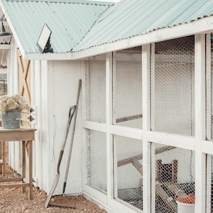 May include: A white chicken coop with a light blue corrugated metal roof. Two small wooden tables hold galvanized metal buckets filled with dried flowers. A shovel and hoe lean against the coop.
