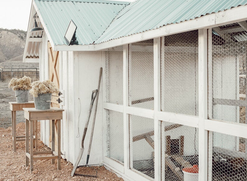 May include: A white chicken coop with a light blue corrugated metal roof. Two small wooden tables hold galvanized metal buckets filled with dried flowers. A shovel and hoe lean against the coop.