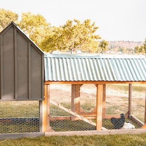 May include: A wooden chicken coop with a gray roof and walls, and a corrugated metal roof. The coop has a wire mesh enclosure and a small ramp. Two chickens, one black and one white, are inside the coop.