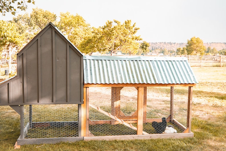 May include: A wooden chicken coop with a gray roof and walls, and a corrugated metal roof. The coop has a wire mesh enclosure and a small ramp. Two chickens, one black and one white, are inside the coop.