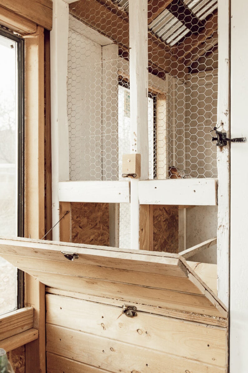 May include: A rustic wooden chicken coop with a hinged door and wire mesh panels. The coop features natural wood tones, white painted supports, and a metal latch. The design suggests a focus on functionality and a connection to nature.