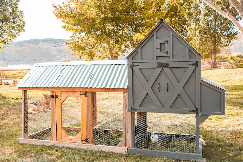 May include: A gray and natural wood chicken coop with a corrugated metal roof. The coop has a fenced-in run and a separate enclosed house with a door. A dog is resting inside the run, and a chicken is inside the house.