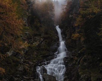 Whispers of the fall