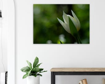 Canvas 70 x 100 cm / 28x40″