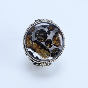 Pallasitmeteoritring - Äkta Sericho Pallasitring - Kenyansk meteorit - Rymdsmycken - Personliga presenter - Justerbar storlek