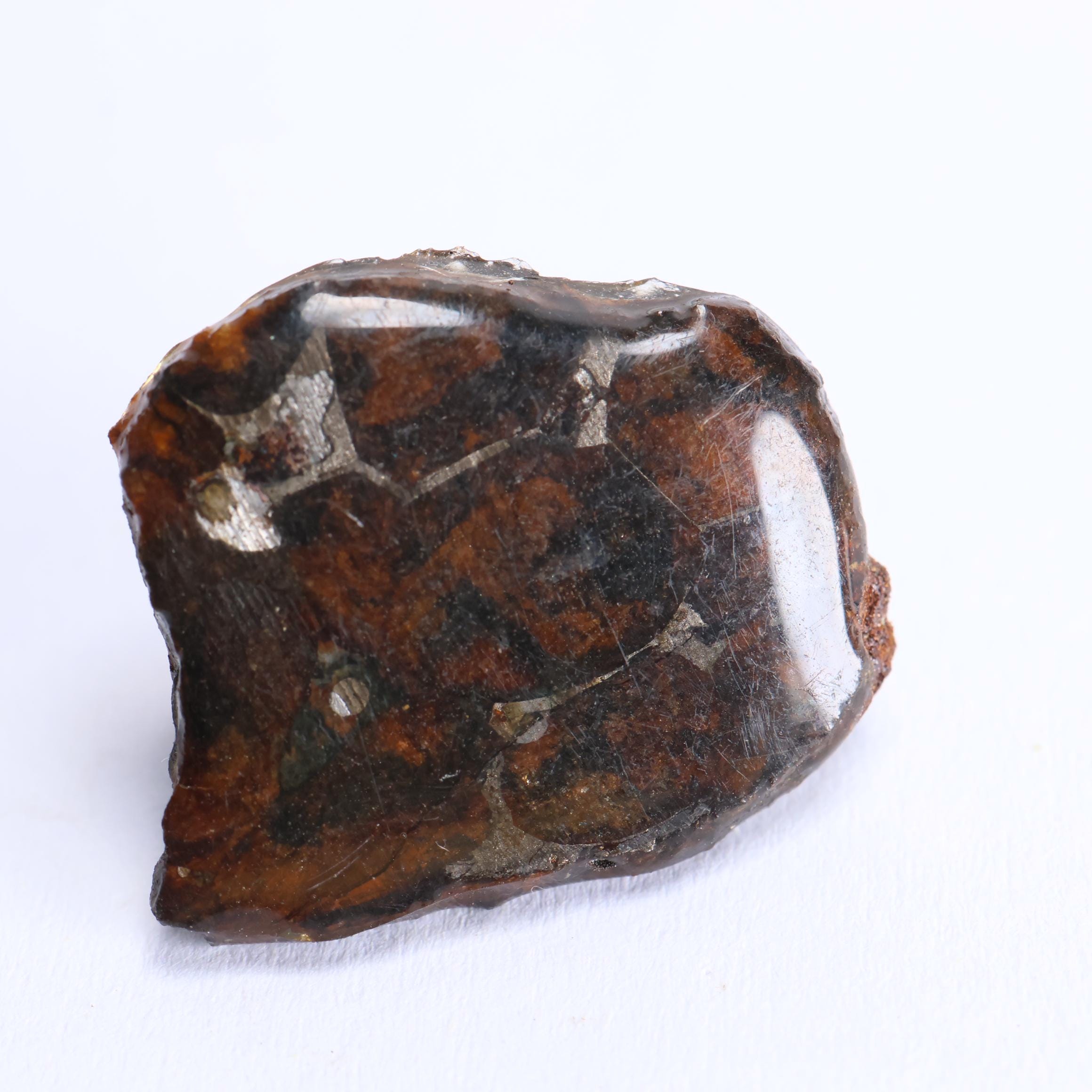 セイムチャン隕石 Seymchan Meteorite