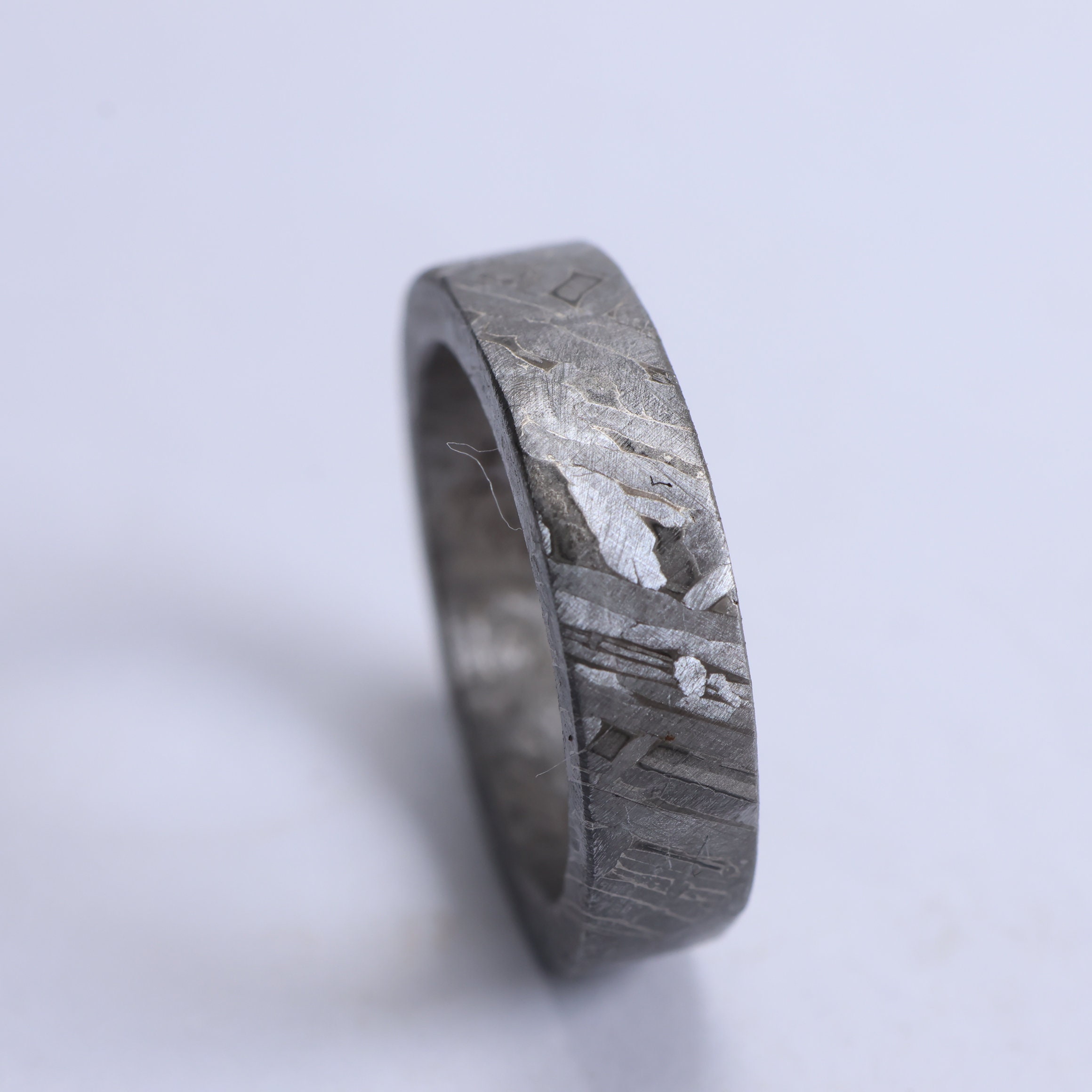 Muonionalusta meteorite combination ring / ムオニナルスタ