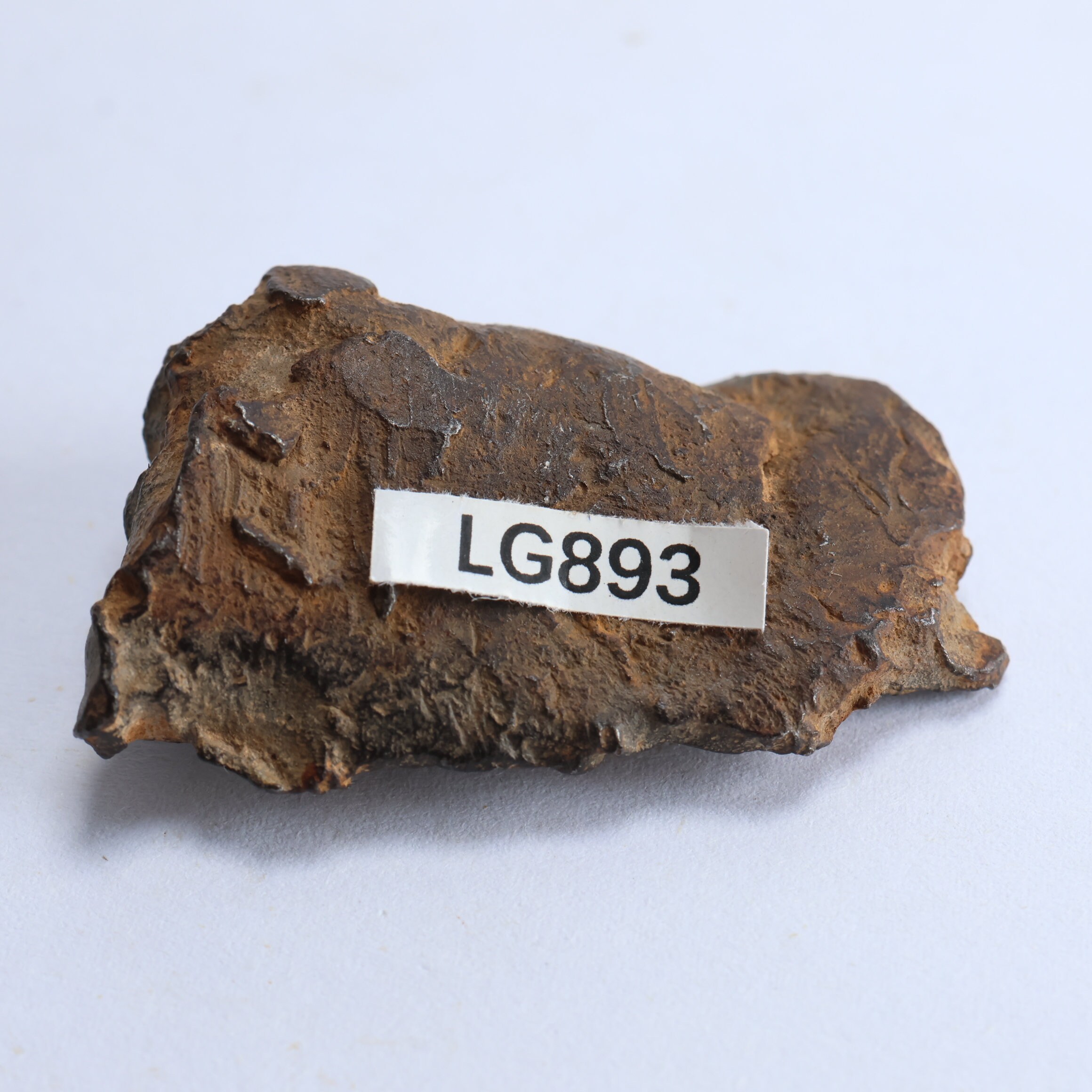 58g Gebel Kamil Meteorite, From Egypt , Iron Meteorite, Space Giftcollection,astronomy Gift LG893 - Etsy 58g Gebel Kamil Meteorite, From Egypt , Iron Meteorite, Space Giftcollection,astronomy Gift LG893 - Etsy