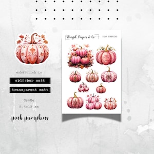 kleiner Stickerbogen mit rosa pinken Kürbissen, verziert, einzeln ablösbare Sticker zum Dekorieren für Bullet Journal, Planer, Kalender