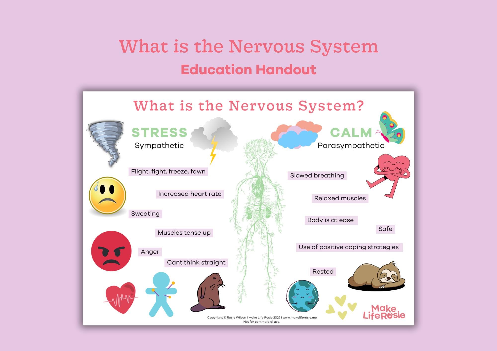What is the Nervous System Handout for Teens and Kids. Mental Health ...