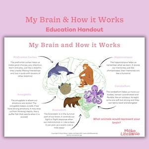 My brain and how it works handout for teens. Trauma resource, mental health printable, therapy tools, counselling resource for teens.