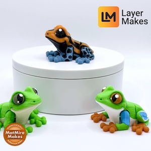 May include: A collection of colorful frog figurines. One frog is orange, black, and blue, perched on a white platform. Two green frogs with large eyes and brown feet are positioned below. The image includes the "Layer Makes" logo.