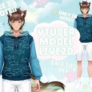 AANGEPASTE VTUBER-model, mannelijk of vrouwelijk, Vtuber-commissie, personageontwerp, rigging, Avatar custom, Streamer, Vbridger, Custom vtuber-model live2d