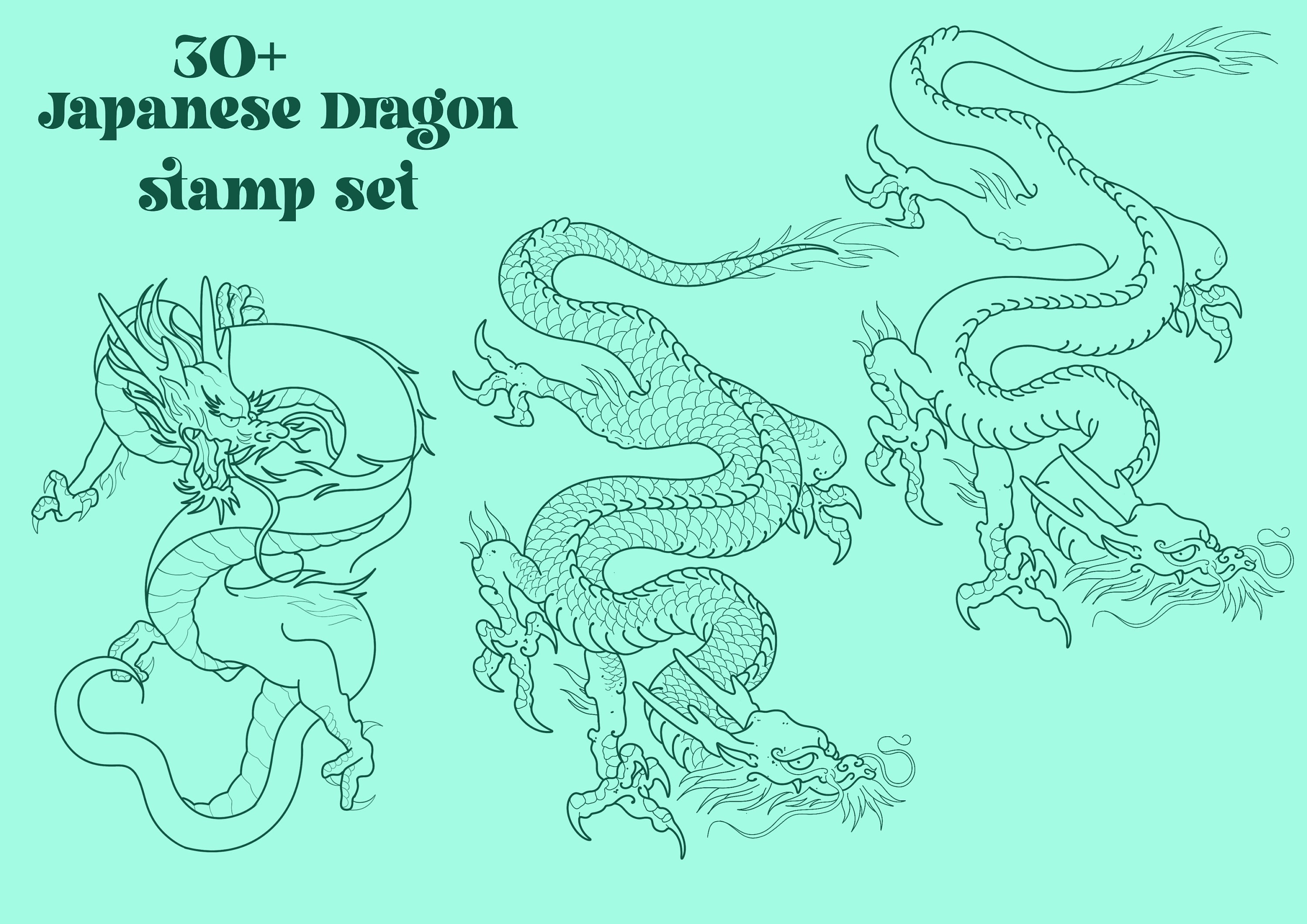 30 Dragon Stamps for Procreate Etsy