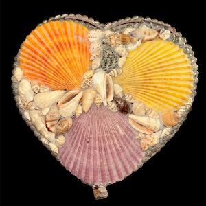 Trinket Jewelry Box Shell Covered Wooden Box Heart Shaped Beach House Coastal Decor 8”x7.5”x3”
