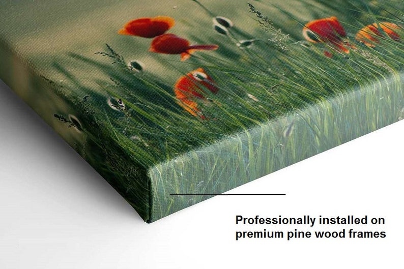 May include: A close-up of a canvas print featuring a field of green grass with red poppies. The canvas is wrapped around the edges of the frame, creating a seamless look.