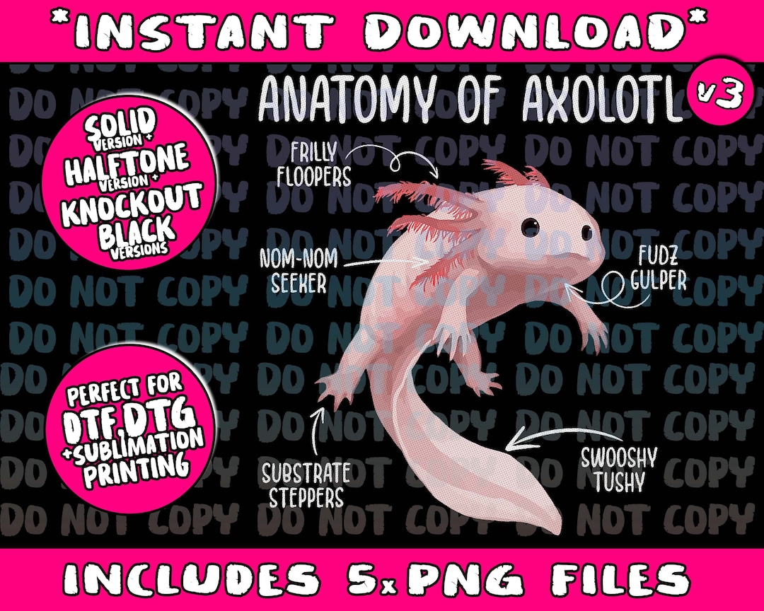 Anatomy of Axolotl for Kids Aquarium Pet Animal Png Bundle - Etsy