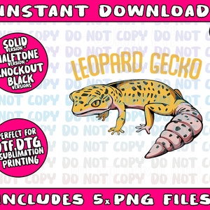 Sorry My Leopard Gecko Ate My Homework Cute Adorable Pet Png Bundle, Trending Png, Popular Printable image 2