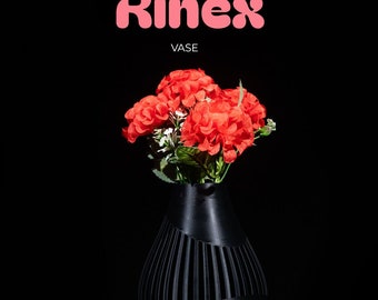 Rinex Vase: Modern Terra De Verdant Pot for Elegant Home Decor - Stylish Plant Planter and Vase