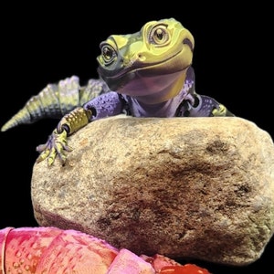 Leopard Gecko Fidget Toy and Decoration
