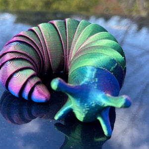 Large Slug Fidget Toy - 3D Printed Rainbow