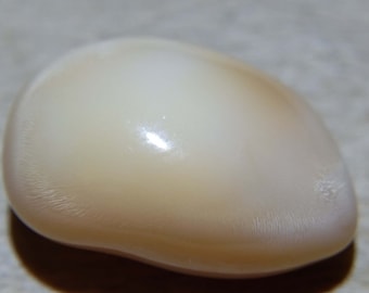 12.6ct Natural Conch Pearl With Flame Structure