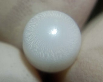 4.37carat Natural Tridacna White Clam Pearl Grado A