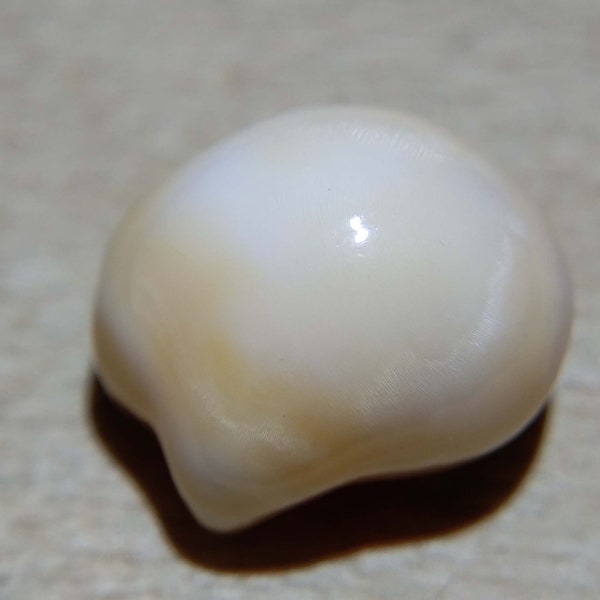 8.9ct Natural Conch Pearl With Flame Structure