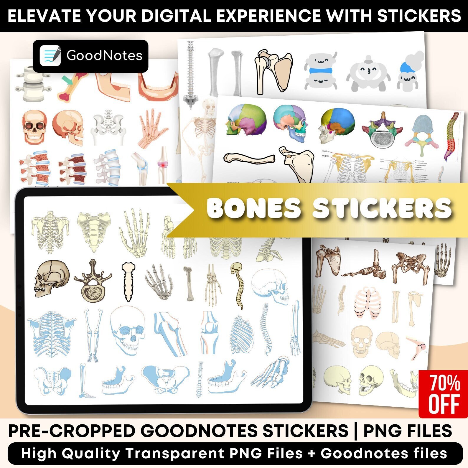 Anatomy Bones Digital Stickers: Medical Study, Goodnotes PNG (digital ...
