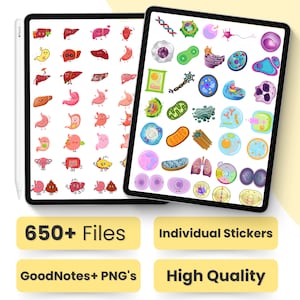 1100 Biology & Anatomy Digital Stickers Pre-cropped Human Body Stickers Hand-Drawn iPad GoodNotes PNG File Note-Taking, Studying image 2