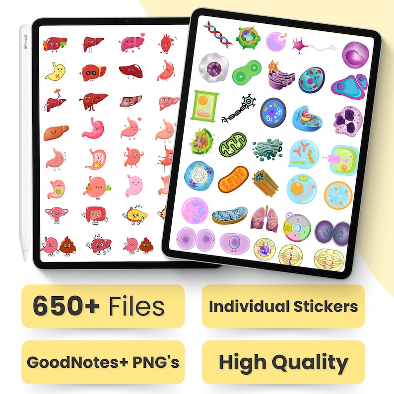 1100 Biology & Anatomy Digital Stickers Pre-cropped Human Body Stickers Hand-Drawn iPad GoodNotes PNG File Note-Taking, Studying image 2