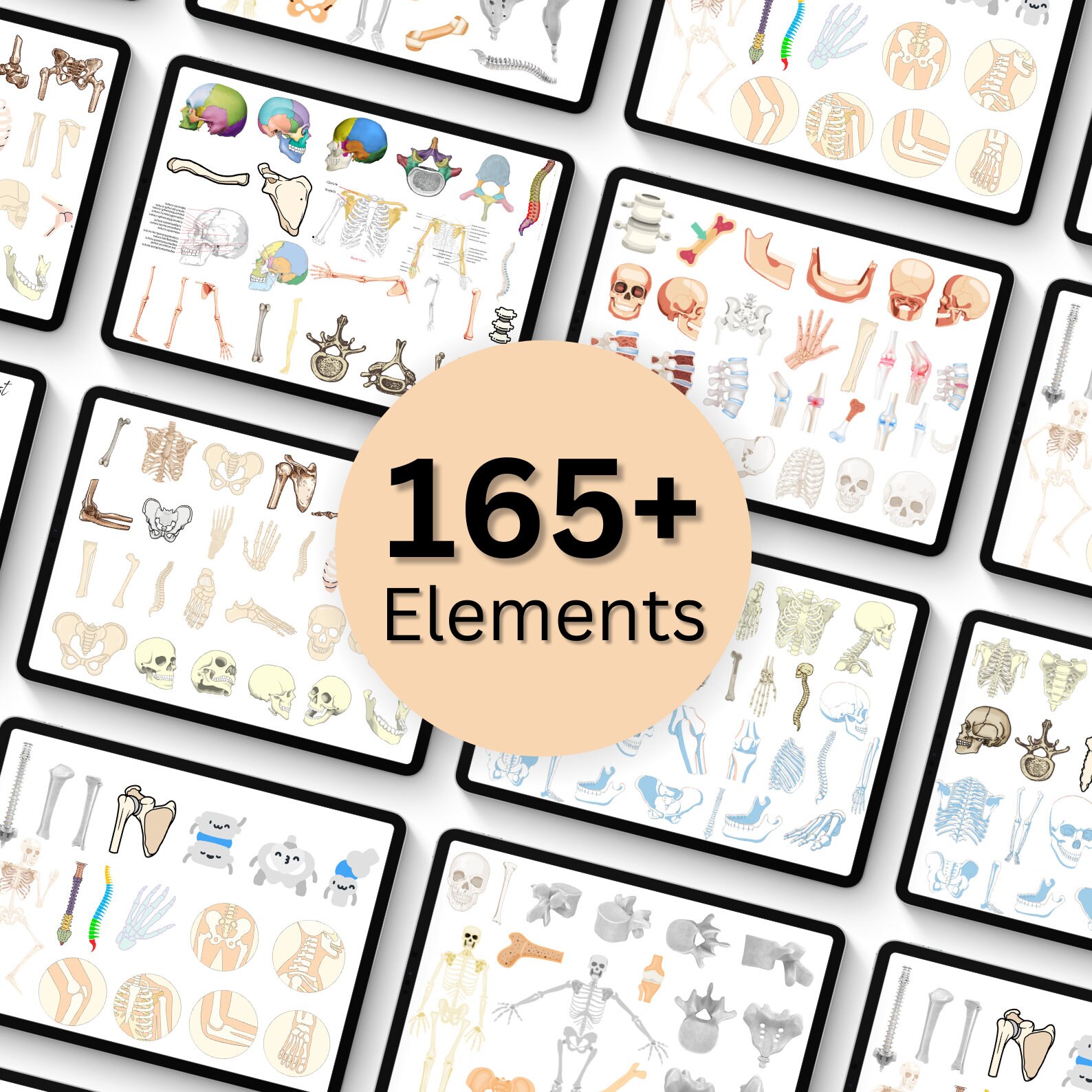 Anatomy Bones Digital Stickers: Medical Study, Goodnotes PNG (digital ...