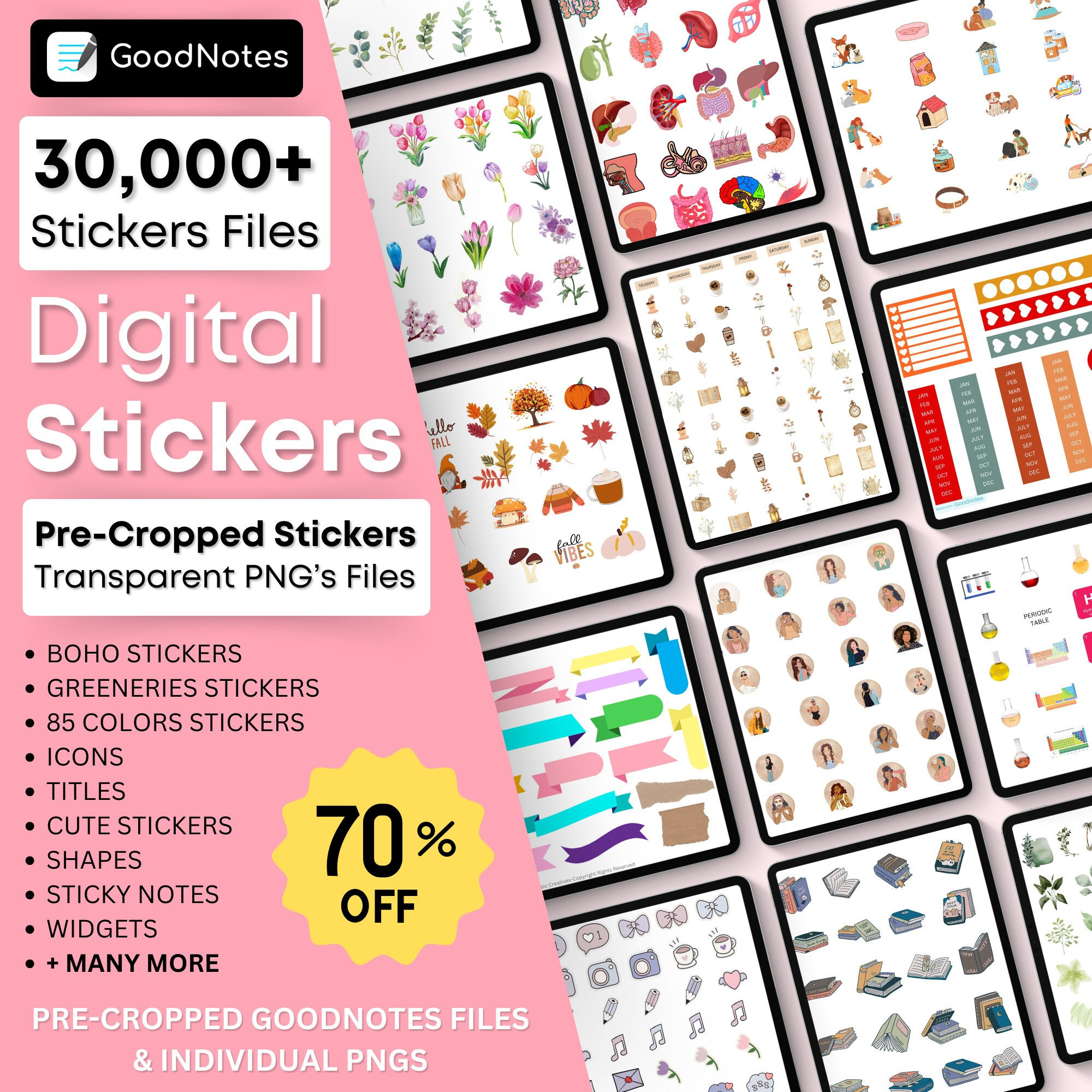 Digital Stickers, Boho Stickers, iPad Planner, Digital Planner, Goodnotes  Planner, Sticker Book, Cute Planner Stickers, Stickers Pack 