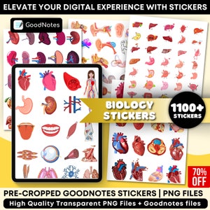 1100+ Biology & Anatomy Digital Stickers | Pre-cropped Human Body Stickers | Hand-Drawn iPad GoodNotes| PNG File | Note-Taking, Studying